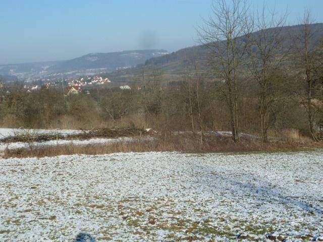 foto17