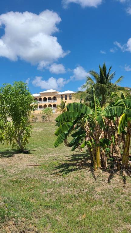 House Frederiksted