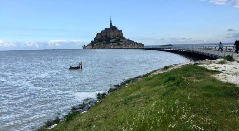 Les2 cerisiers — photo 4