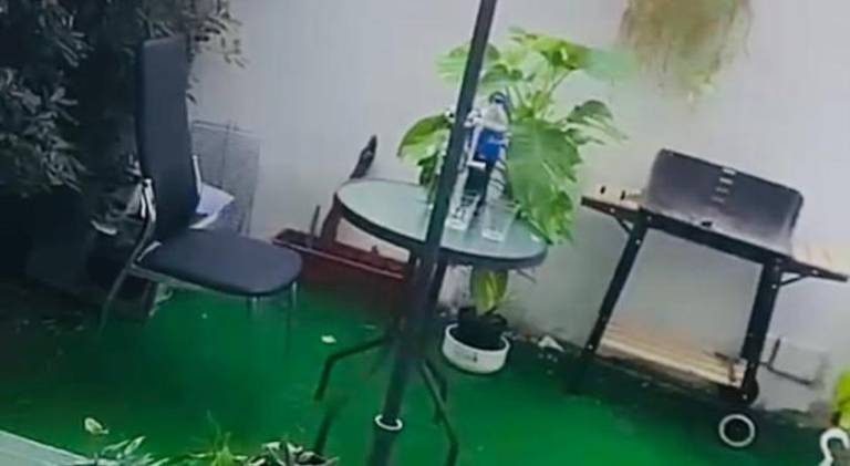 foto17