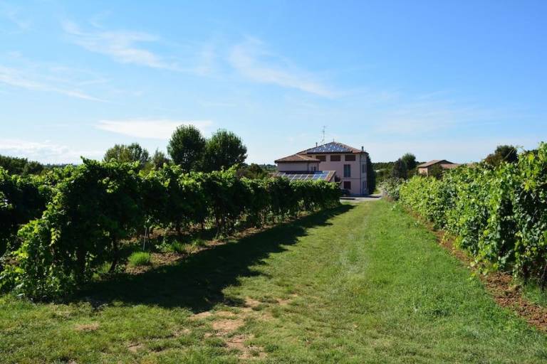 Le Stanze di Bacco: Bacca d'Oro — photo 5