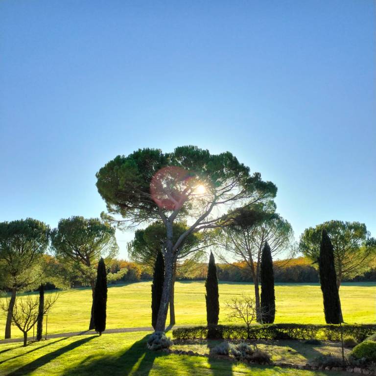 Boerderij Colle di Val d'Elsa