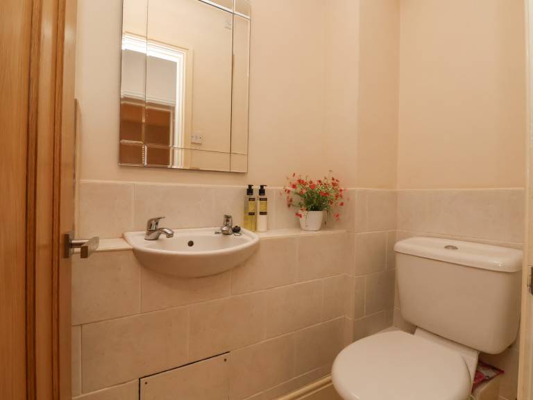 foto11