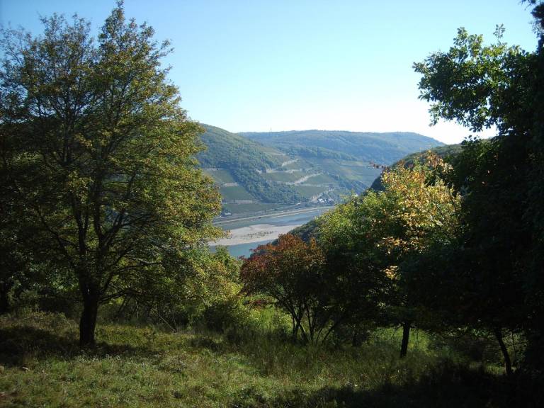 foto19