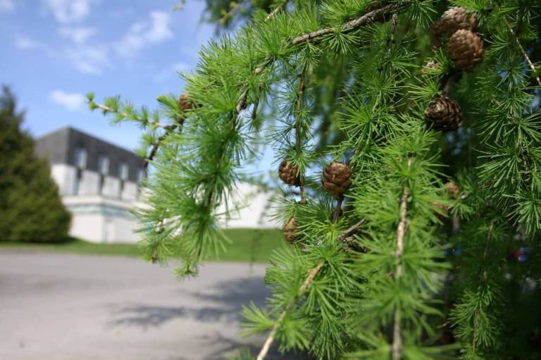 foto16