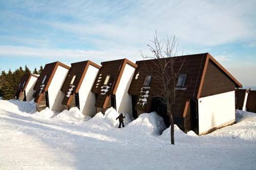 Apartma Rogla
