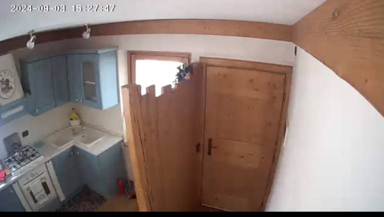 foto5