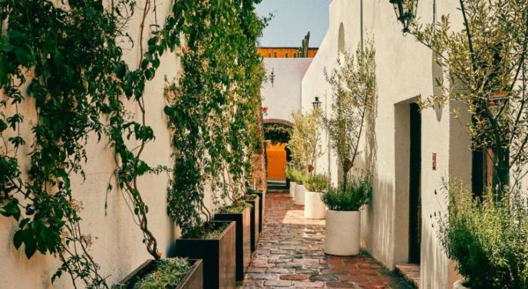 Meson Hidalgo — photo 4
