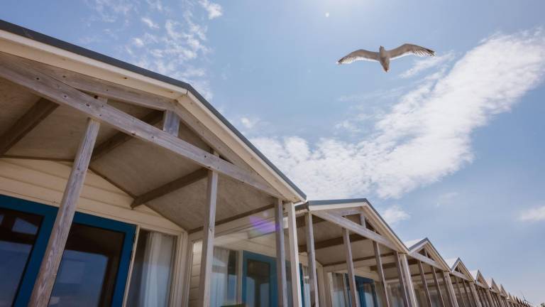 Ferienhaus Wijk aan Zee