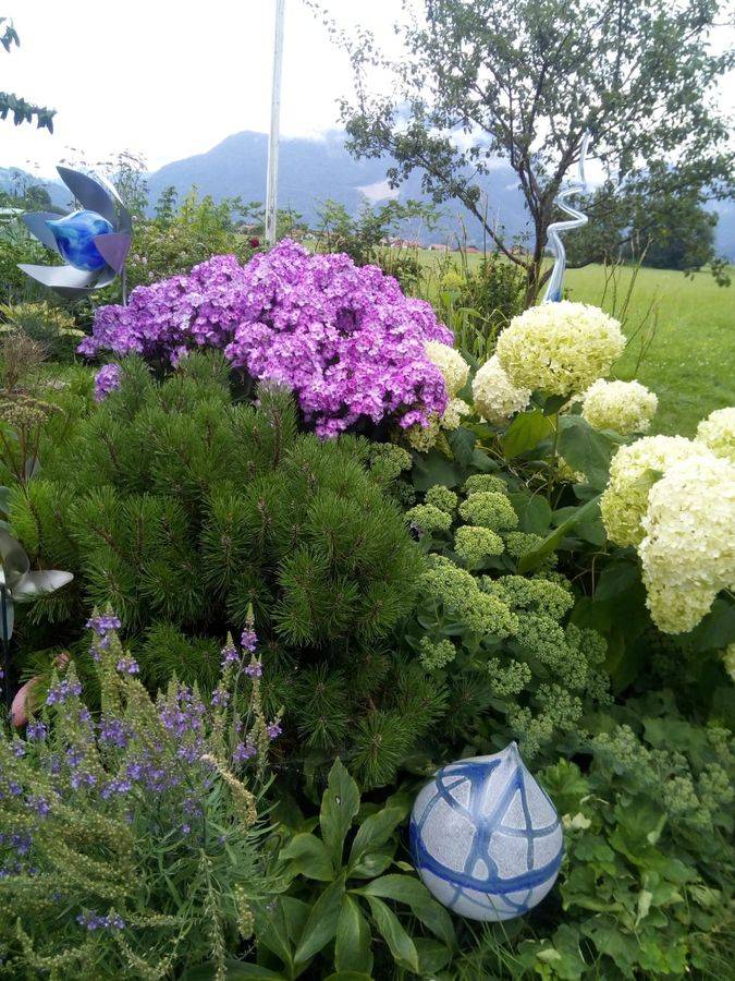 foto9