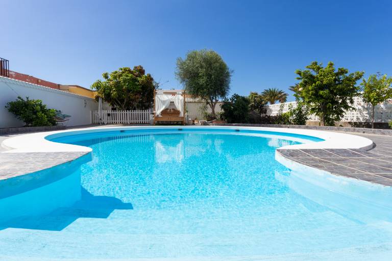 Bungalow Palm-Mar