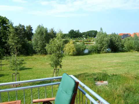 foto19