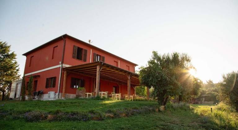 Farm with patio & garden | Pets allowed — photo 4
