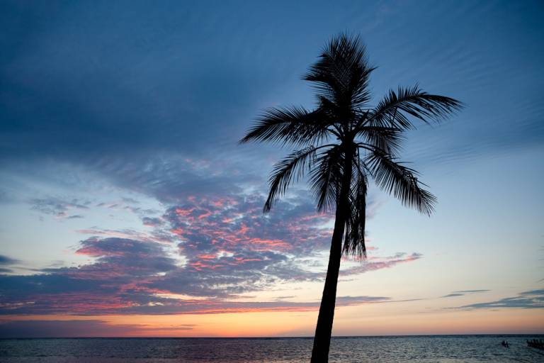 foto34