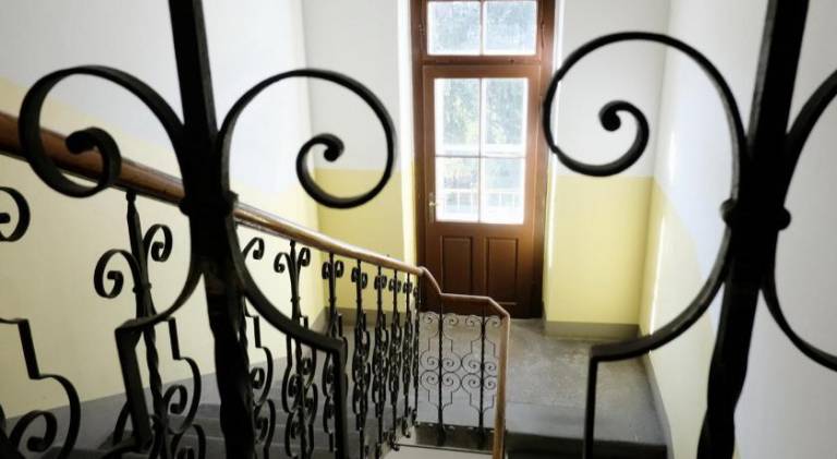 Charming holiday apartment | Pet-friendly — photo 5