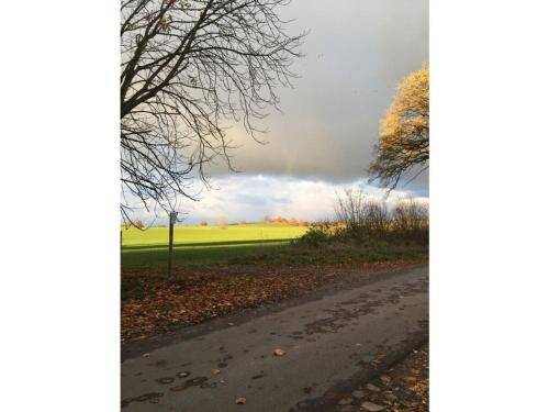 foto19