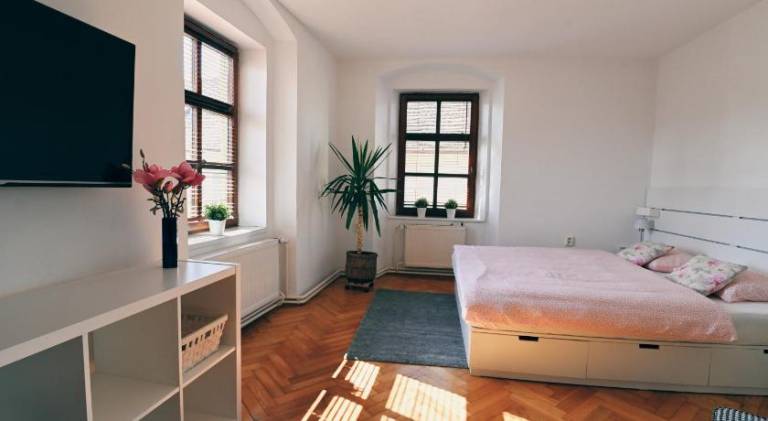 Rental apartment | Dogs allowed — photo 2