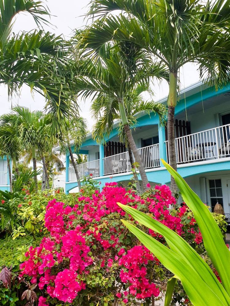Condo  Grace Bay