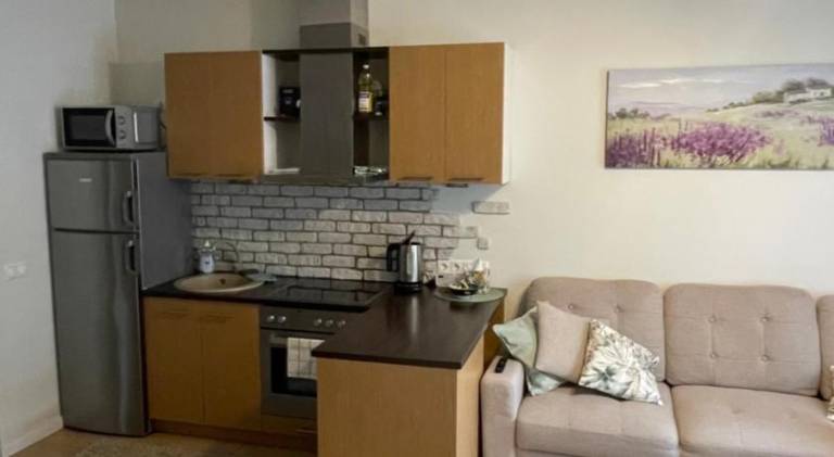 Apartment | Pets are welcome — photo 4