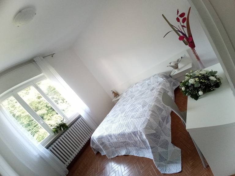 foto12