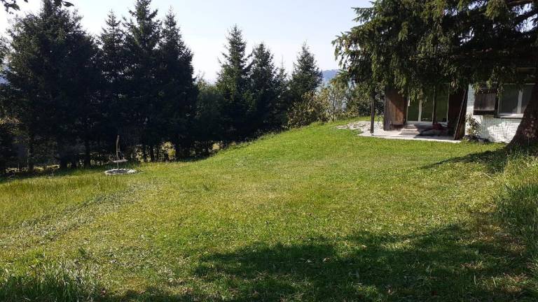 foto7