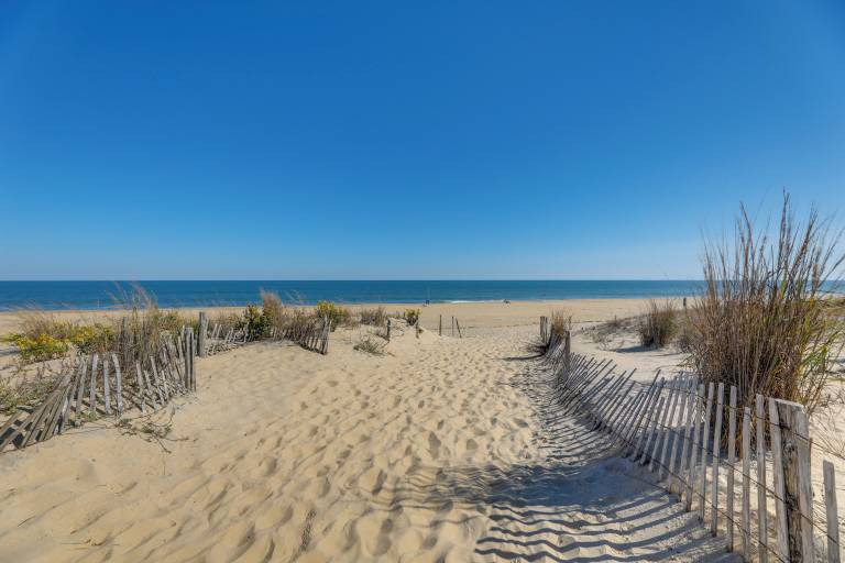 House Fenwick Island
