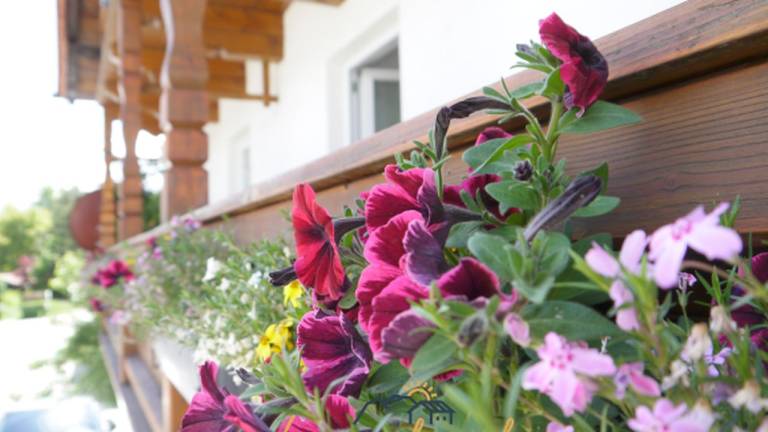 Ferienwohnung Chiemsee