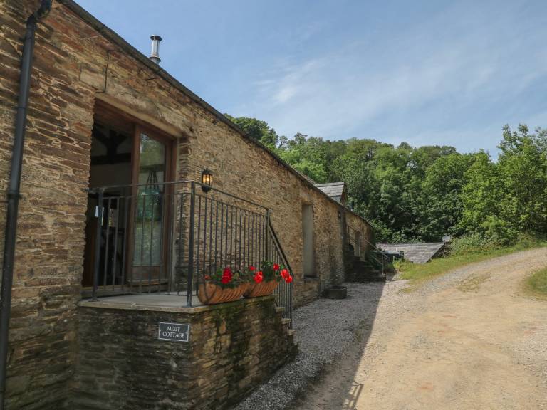foto1