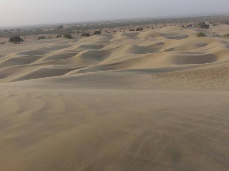 Chandani Desert Resort and Camp — photo 5
