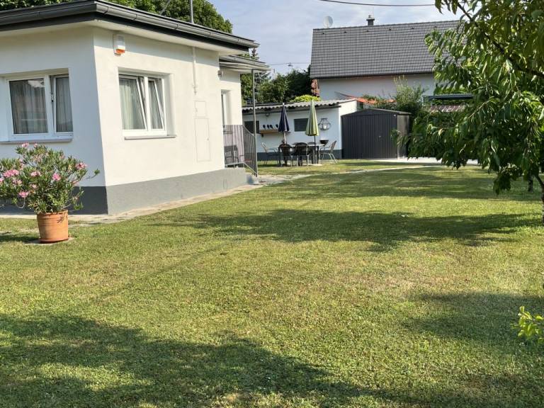 foto29