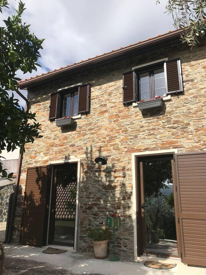 foto1