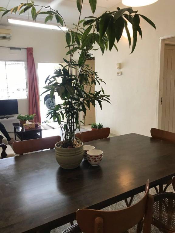 foto17