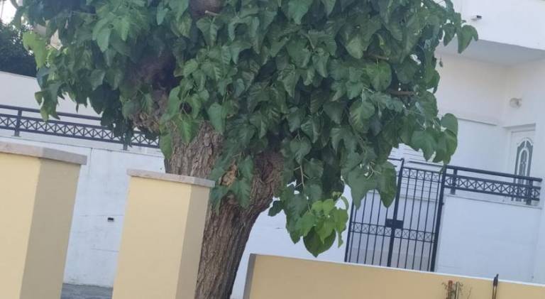 foto11