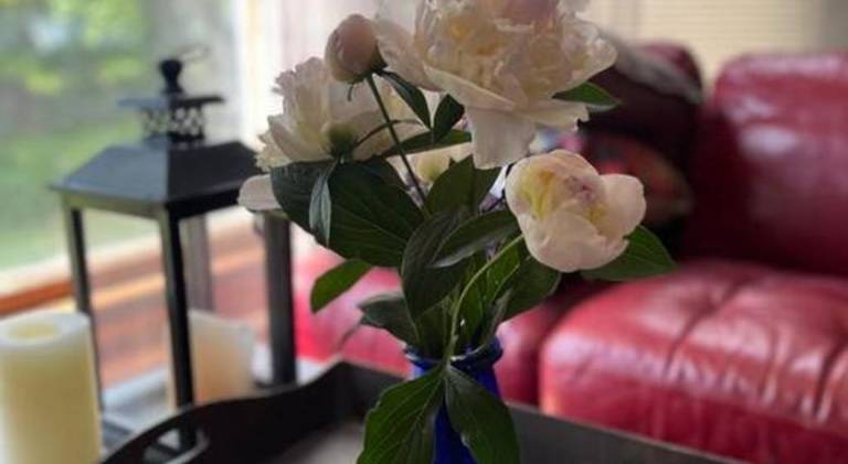 foto22