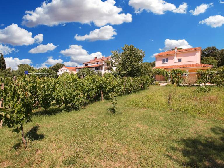 Holiday apartment with terrace, garden & grill in Pula