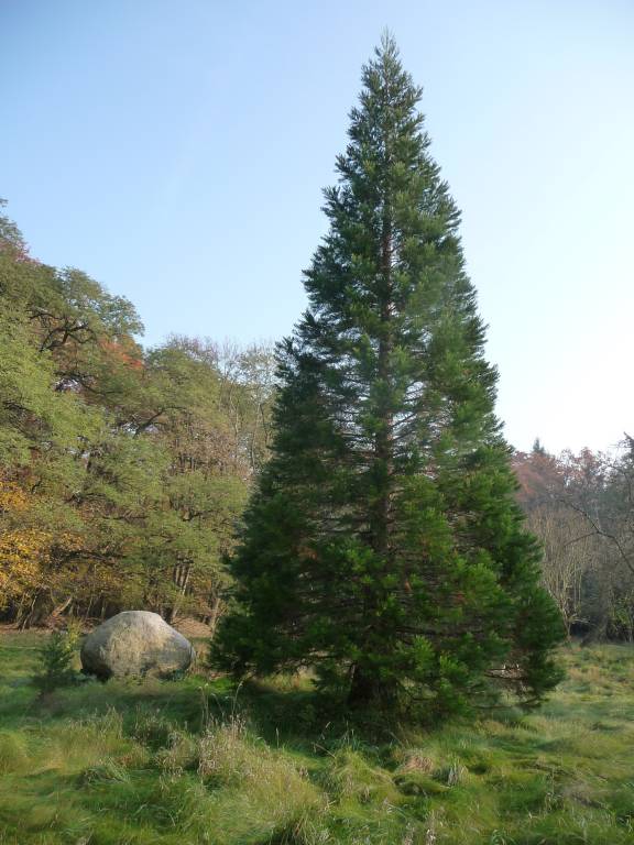 foto14