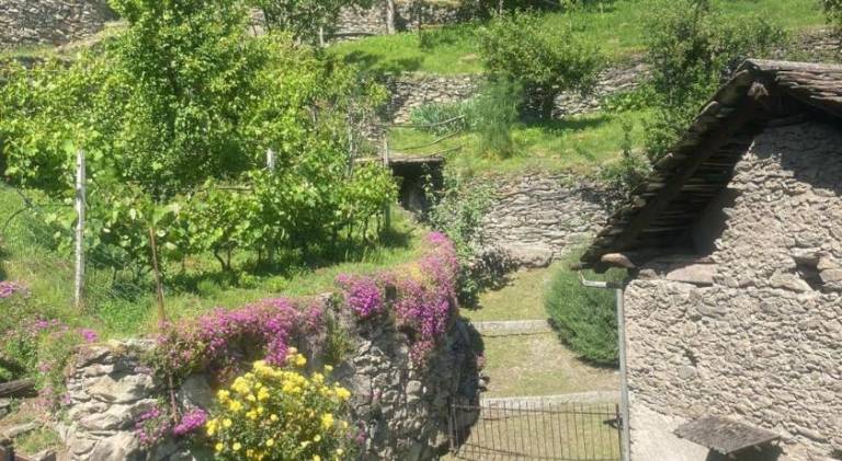Rental apartment with 1 room for 3 persons — photo 4