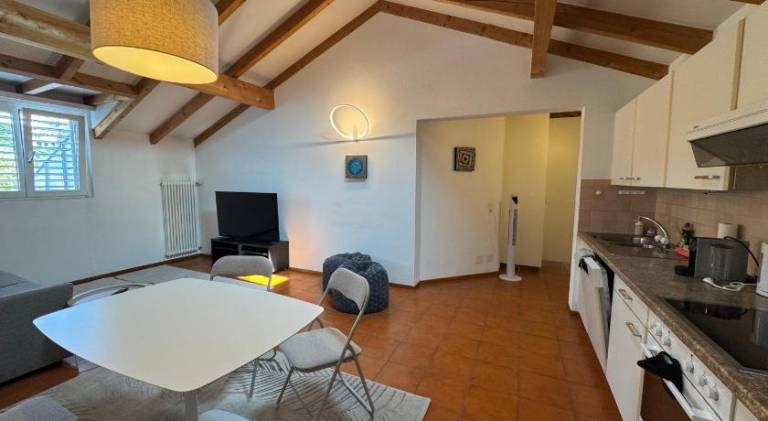 Fully equipped holiday apartment | Pets allowed in Losone
