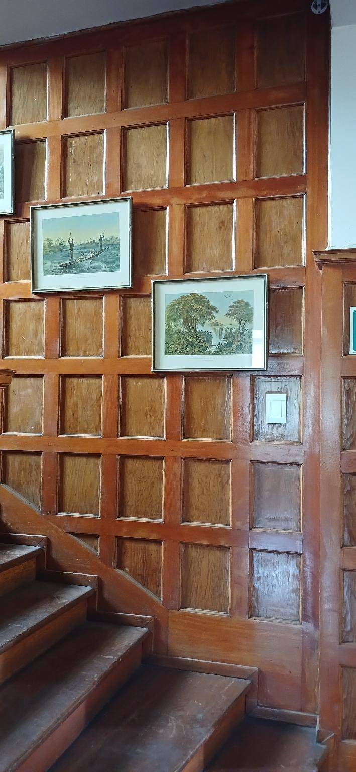 foto5