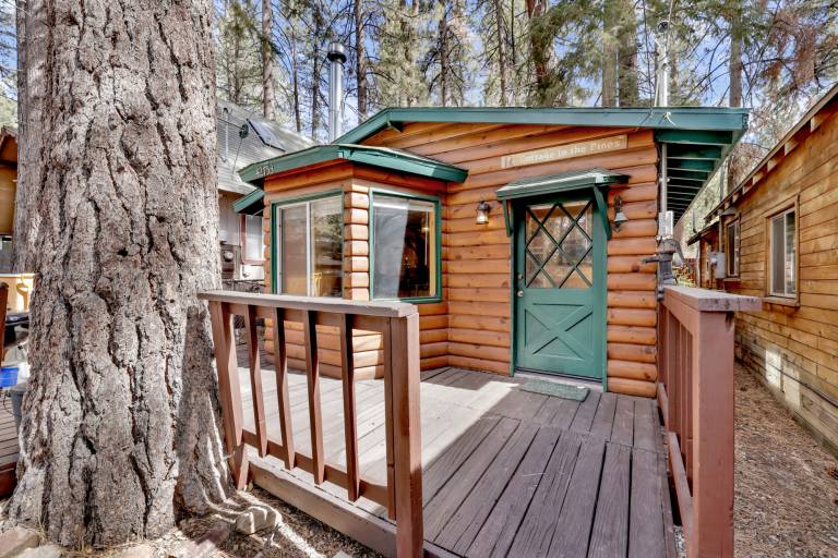 Cabin  Big Bear Lake
