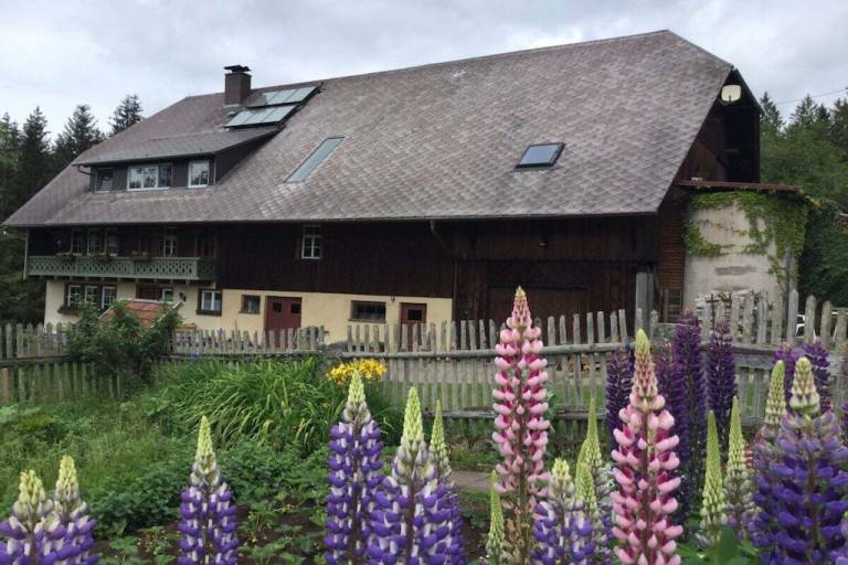 Ferienhaus in Sankt Georgen, Tennenbronn f&uuml;r max. 5 Personen