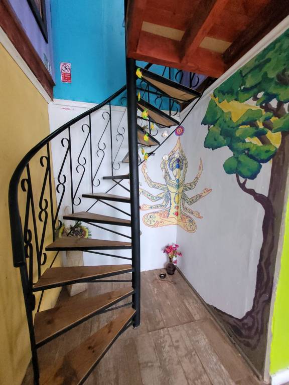 foto14