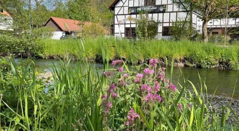 Hotel Der Distelhof - ihr Land- und Tagungshotel zwischen Rennsteig, Rhon & Werratal in Meiningen