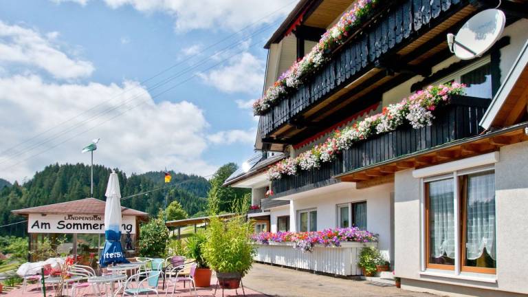 Ferienwohnung Kniebis