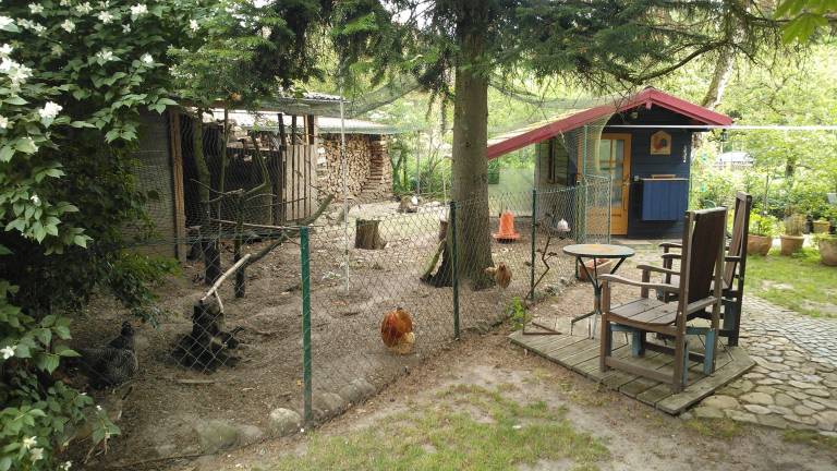 foto16