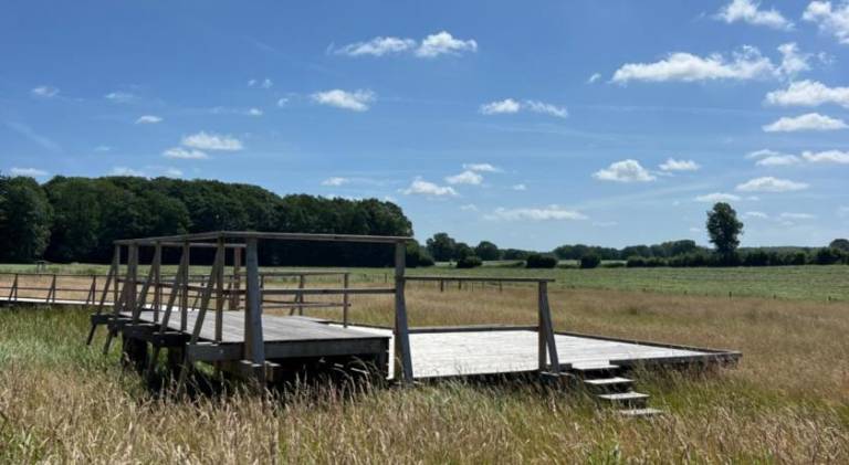 Serviced apartment with sauna & terrace | Perfect for remote work | Dogs allowed in Rendsburg