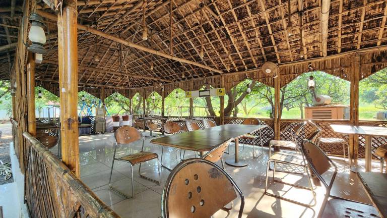 The Gir View Resort — photo 2