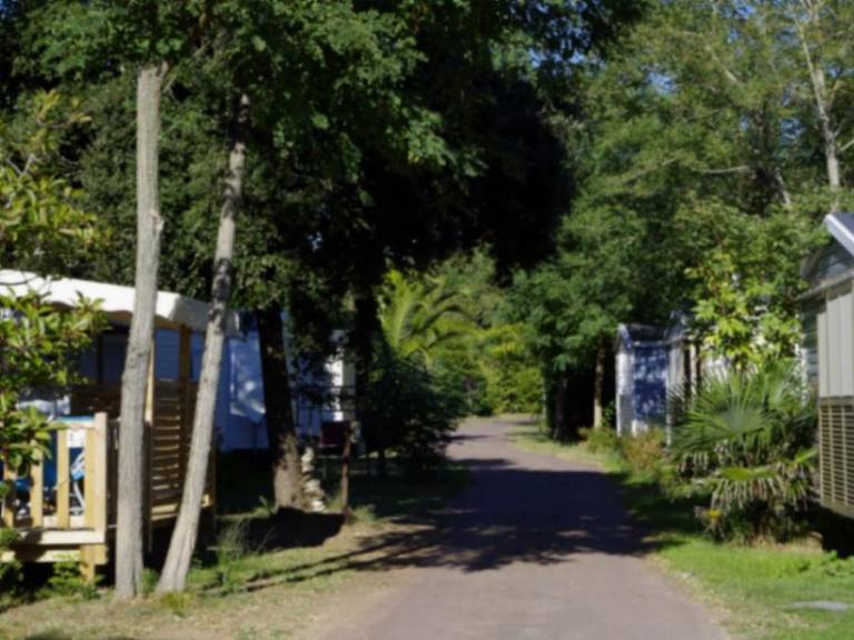 Camping Le Sous Bois — photo 5