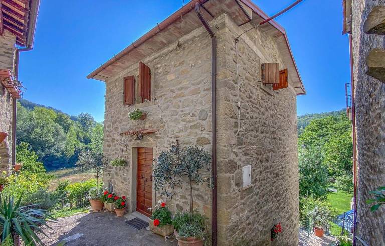 Casa  Caprese Michelangelo