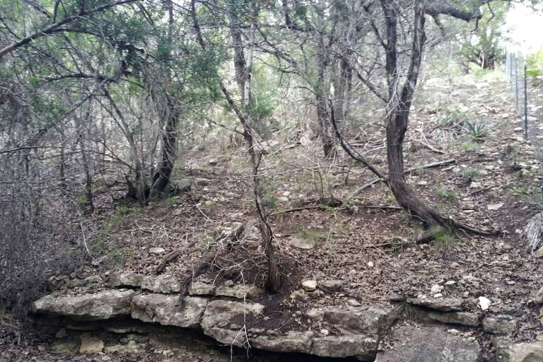 foto14